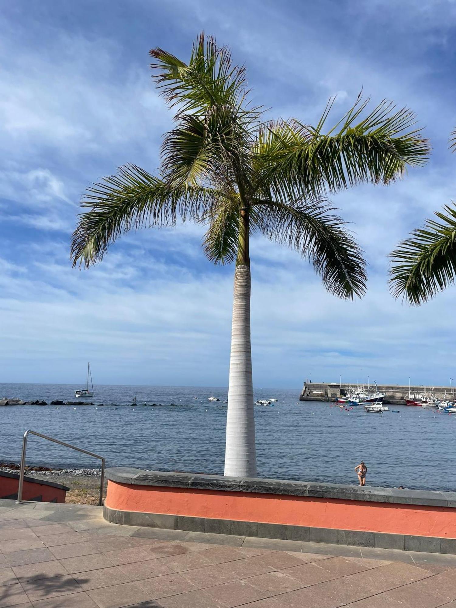 Seaside Paradise - 2 Bedroom Apartment With Ocean Views & Air Conditioning In Playa San Juan Exteriör bild