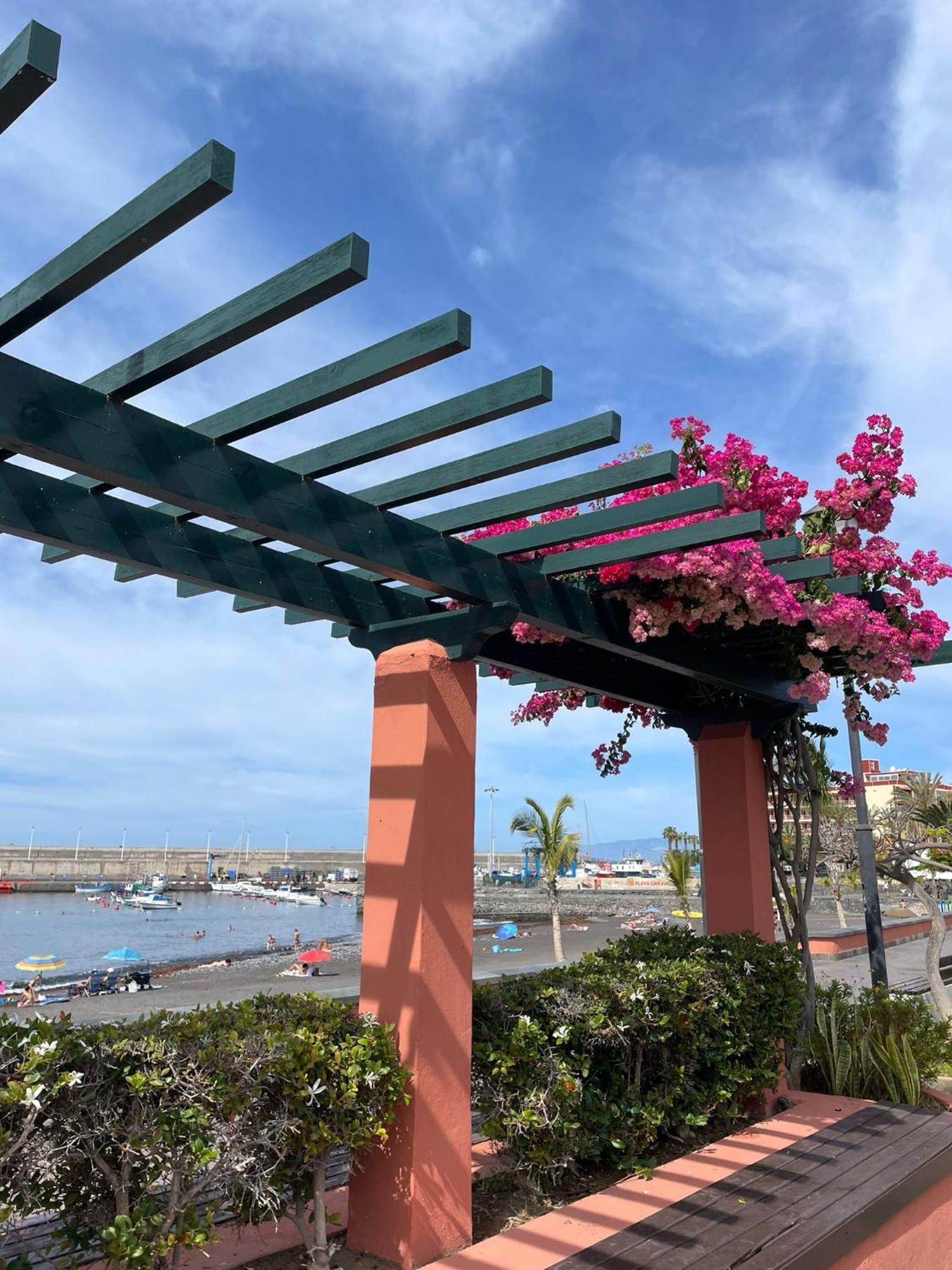 Seaside Paradise - 2 Bedroom Apartment With Ocean Views & Air Conditioning In Playa San Juan Exteriör bild